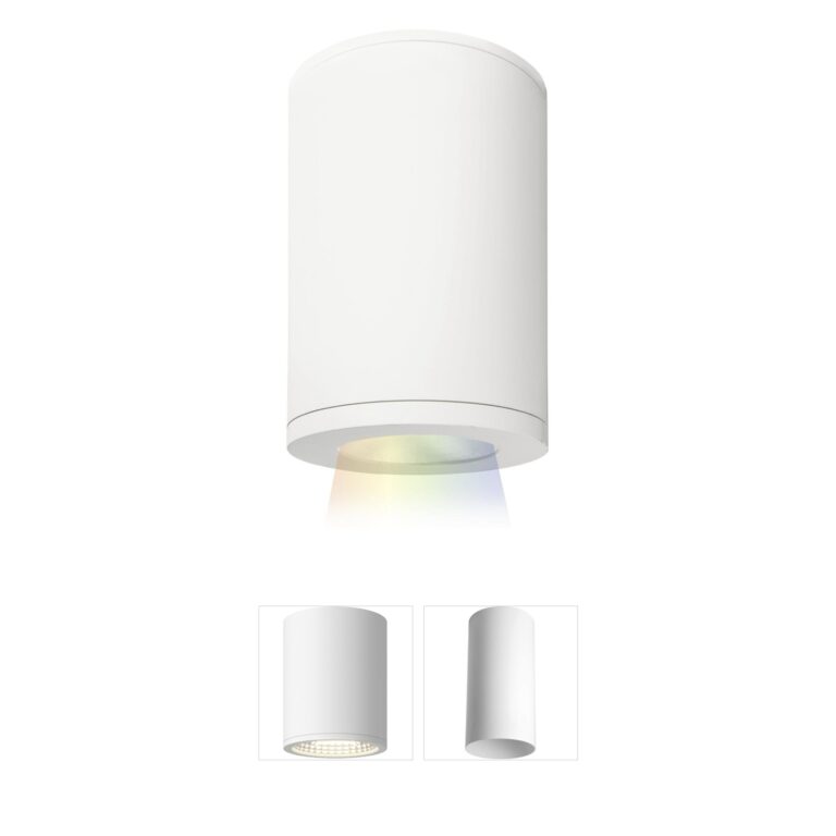 WAC Lighting Tube Arch 5-Inch Color Changing LED Outdoor Ceiling Light