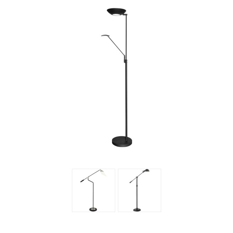 Dainolite Contemporary Mother & Son LED Floor Lamp in Black