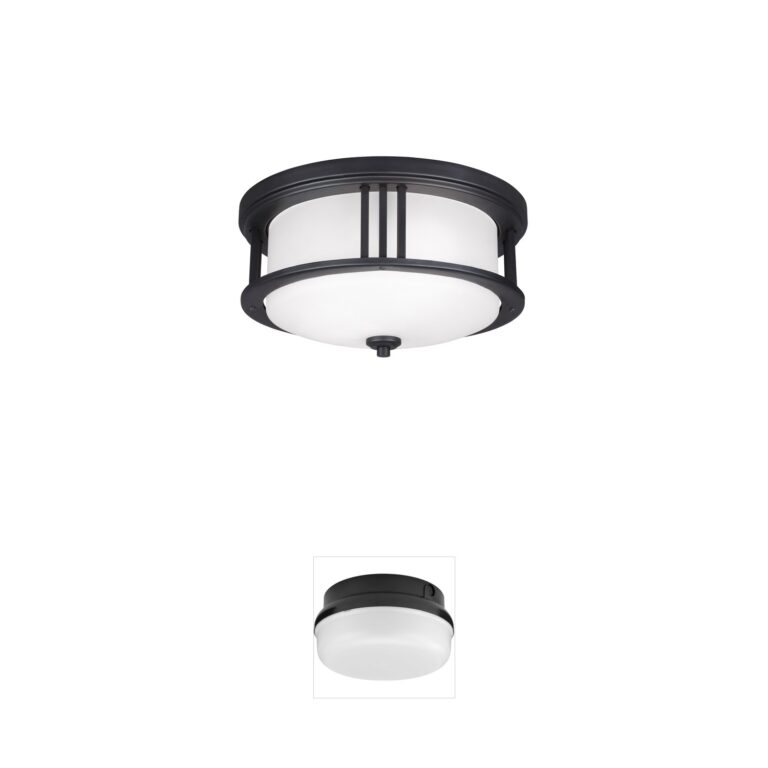 Generation Lighting Crowell 14-Inch 2-Light LED Outdoor Flush Mount in Black