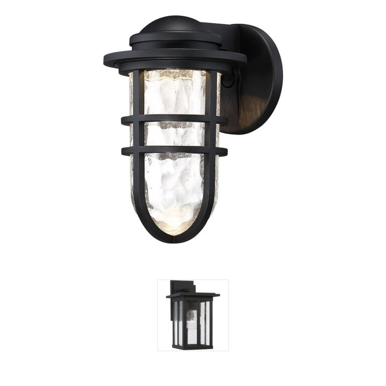 WAC Lighting Steampunk Clear Glass Outdoor Wall Light