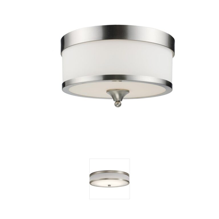 Z-Lite Cosmopolitan Steel Flush Mount