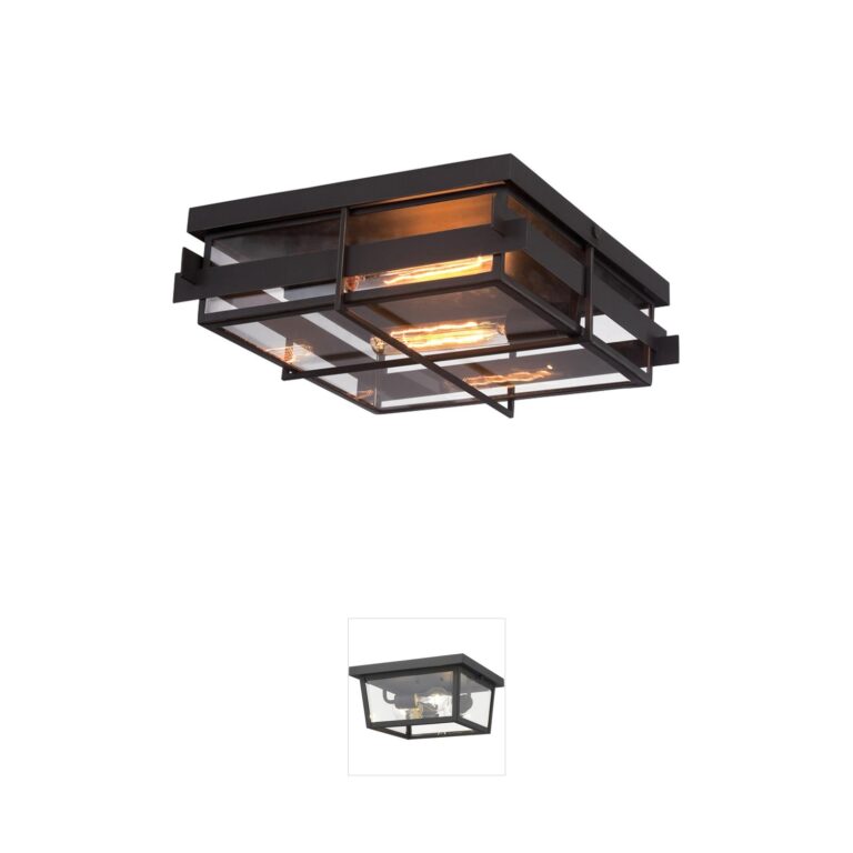 Eurofase Muller Black Outdoor Rectangular Glass Ceiling Light