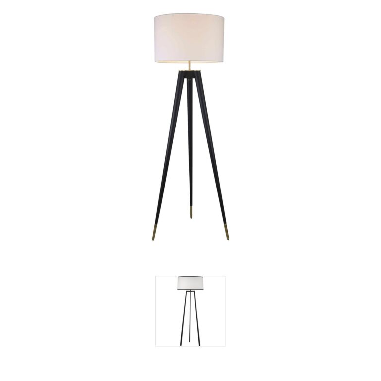 Bethel International Canada Collection Black and Brass Floor Lamp