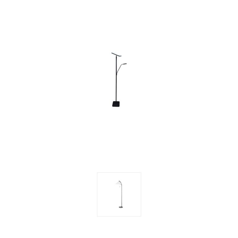 Lite Source Hector Black Metal LED Torch Floor Lamp