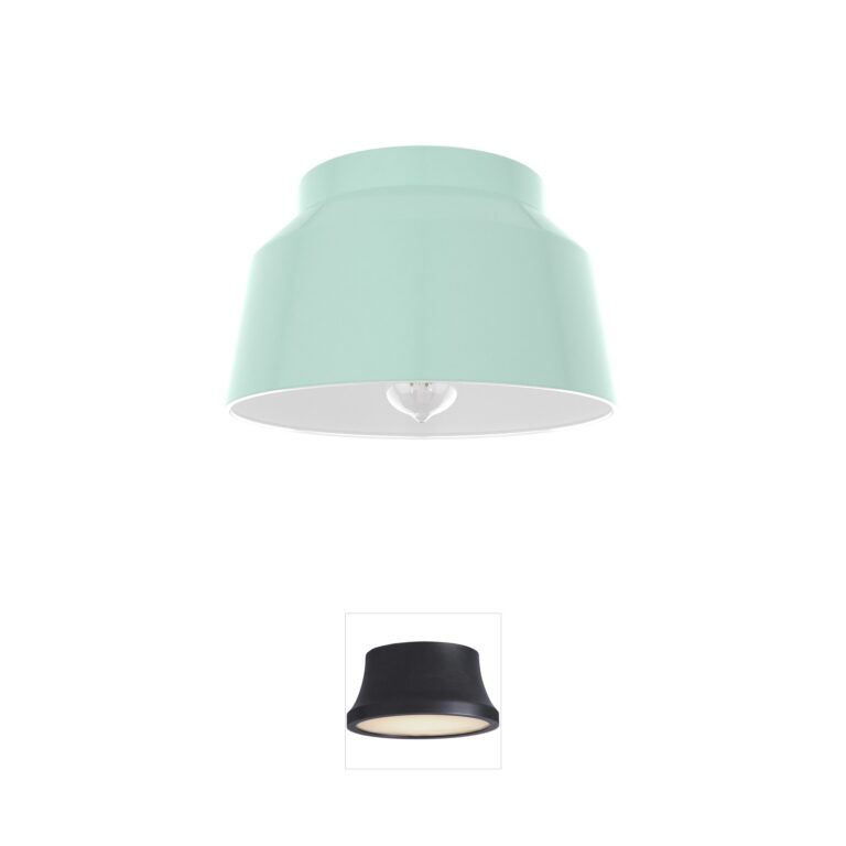 Hunter Fan Cranbrook 1-Light Mint Flush Mount