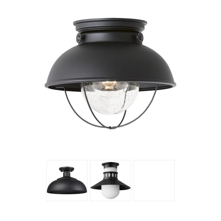 Generation Lighting Sebring Black Outdoor Flush Mount with Clear Seeded Glass
