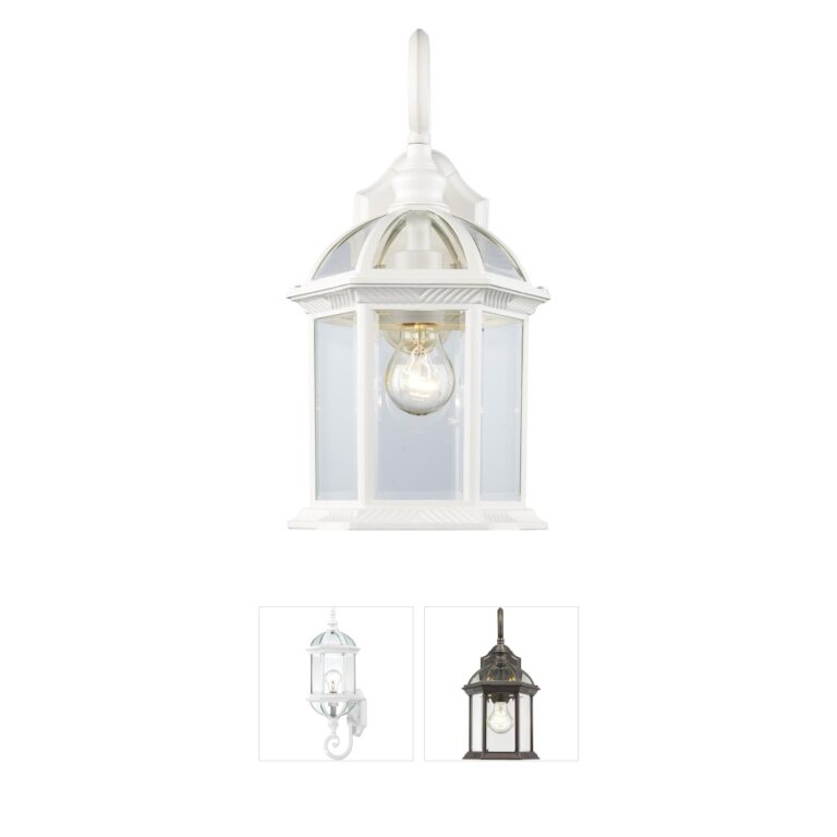 Trans Globe Lighting Wentworth Metal & Glass Outdoor Wall Lantern
