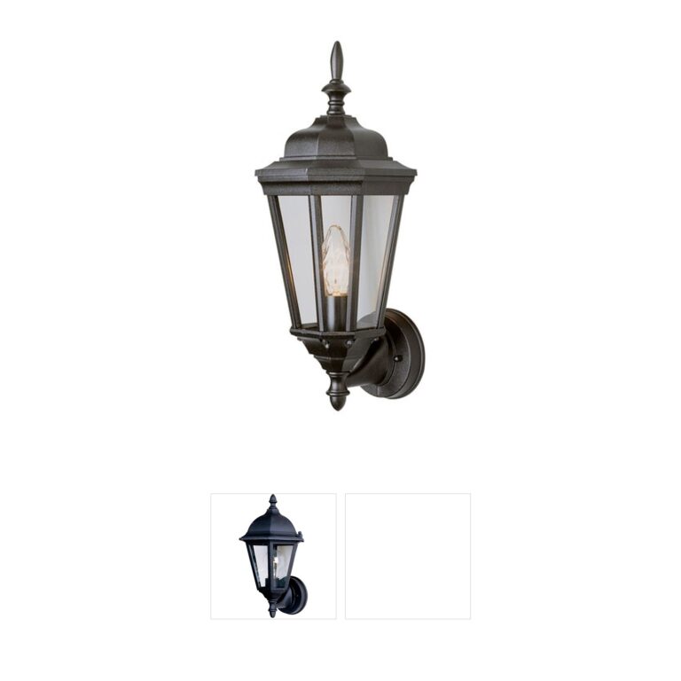 Trans Globe Lighting Waldorf 17-inch Outdoor Wall Lantern in Rust