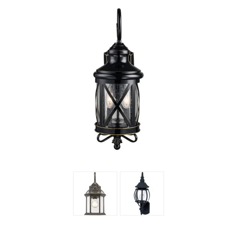 Trans Globe Lighting Chandler Rubbed Oil Bronze Outdoor Wall Lantern with Clear Seeded Glass