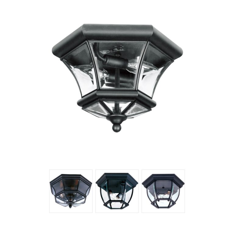 Livex Lighting Monterey/Georgetown Hand Crafted Solid Brass Outdoor Light