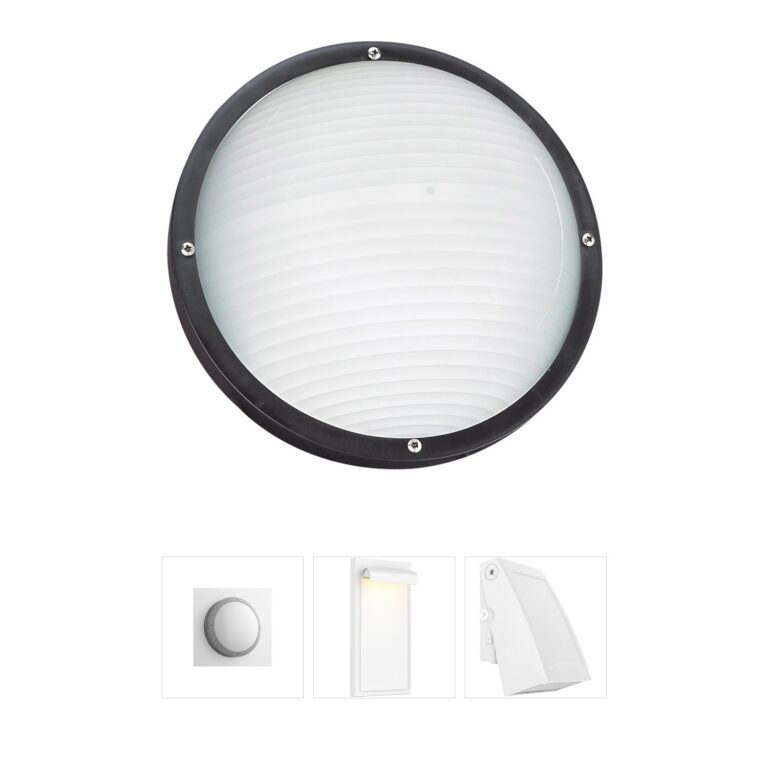 Generation Lighting Bayside Black Polycarbonate Outdoor Wall and Ceiling Light