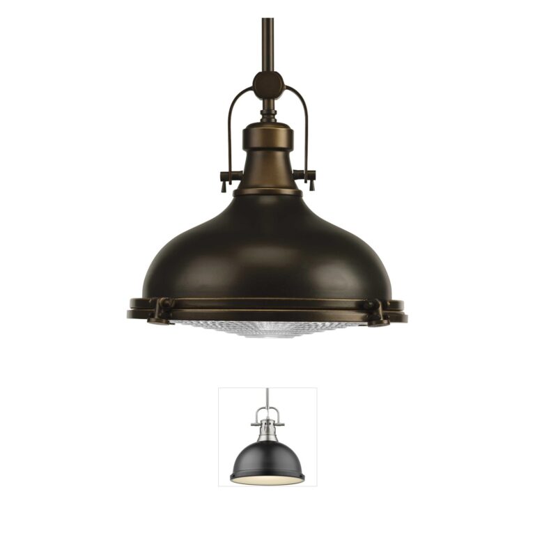 Progress Lighting Fresnel Lens 12" Oil Rubbed Bronze Pendant