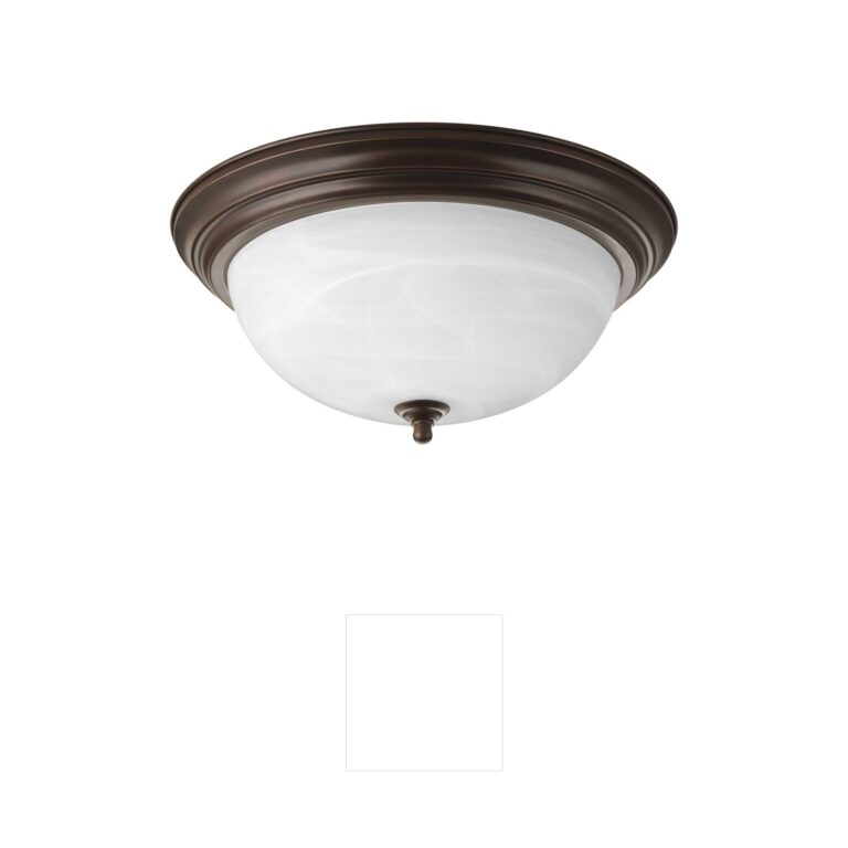 Progress Lighting Dome Glass CTC Antique Bronze Flush Mount