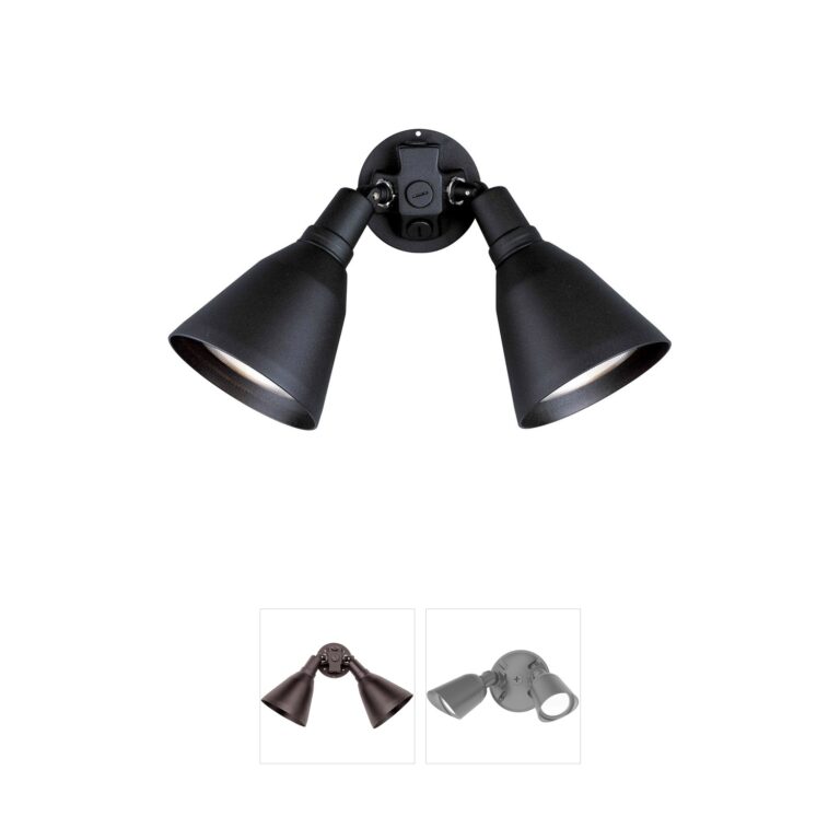 Progress Lighting Par Lampholder Black Aluminum Two-Light Adjustable Swivel Flood Light