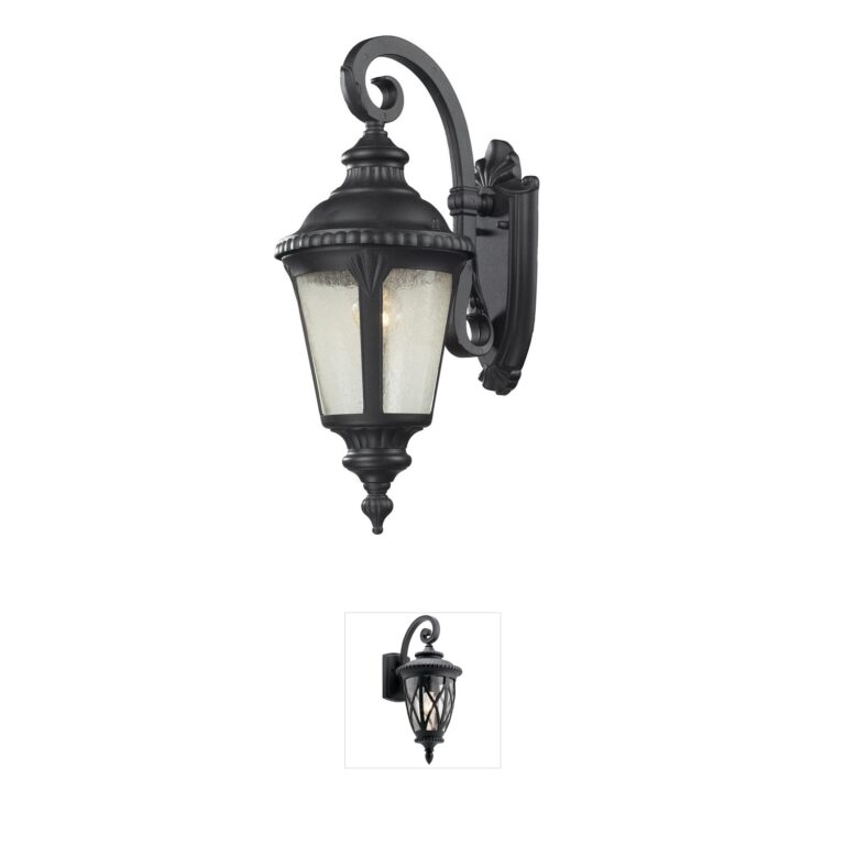 Z-Lite Medow Black Aluminum Outdoor Wall Light with Seedy Glass