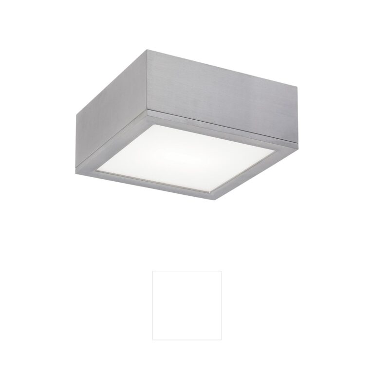 WAC Lighting Rubix Brushed Aluminum Outdoor LED Flush Mount