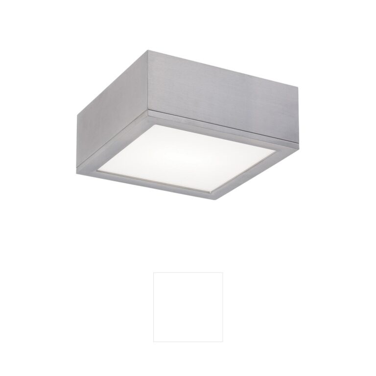WAC Lighting Rubix 10" Graphite LED Outdoor Flush Mount