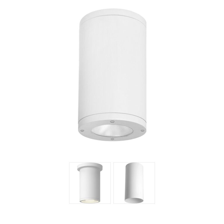 WAC Lighting Tube Arch 6-Inch Die-Cast Aluminum Outdoor LED Ceiling Light