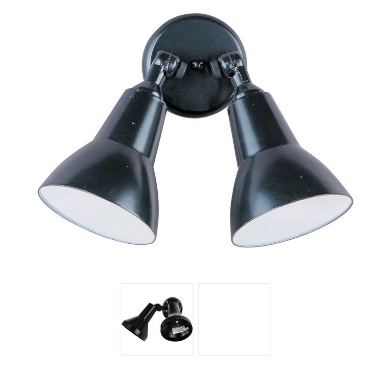 Maxim Lighting Spots Black Outdoor Wall Light