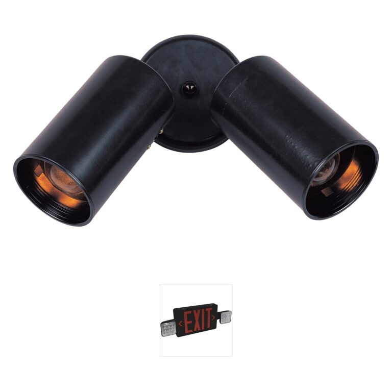 Maxim Lighting Spots 2-Light Black Aluminum Directional Flush Mount