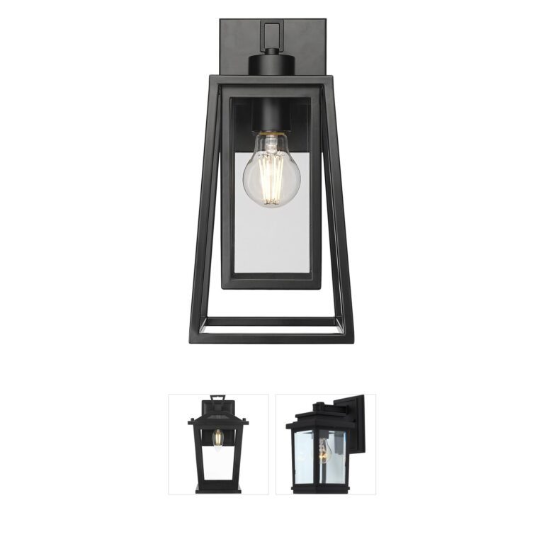 Millennium Lighting Denzell Black Steel and Clear Glass Outdoor Wall Sconce