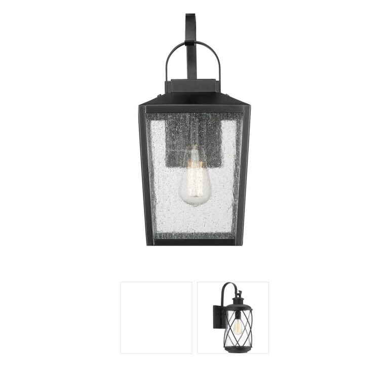 Millennium Lighting Devens Outdoor Wall Sconce with Seeded Glass