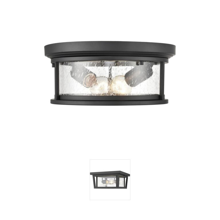 Millennium Lighting Bresley Powder Coated Black Outdoor Ceiling Light with Clear Seeded Glass