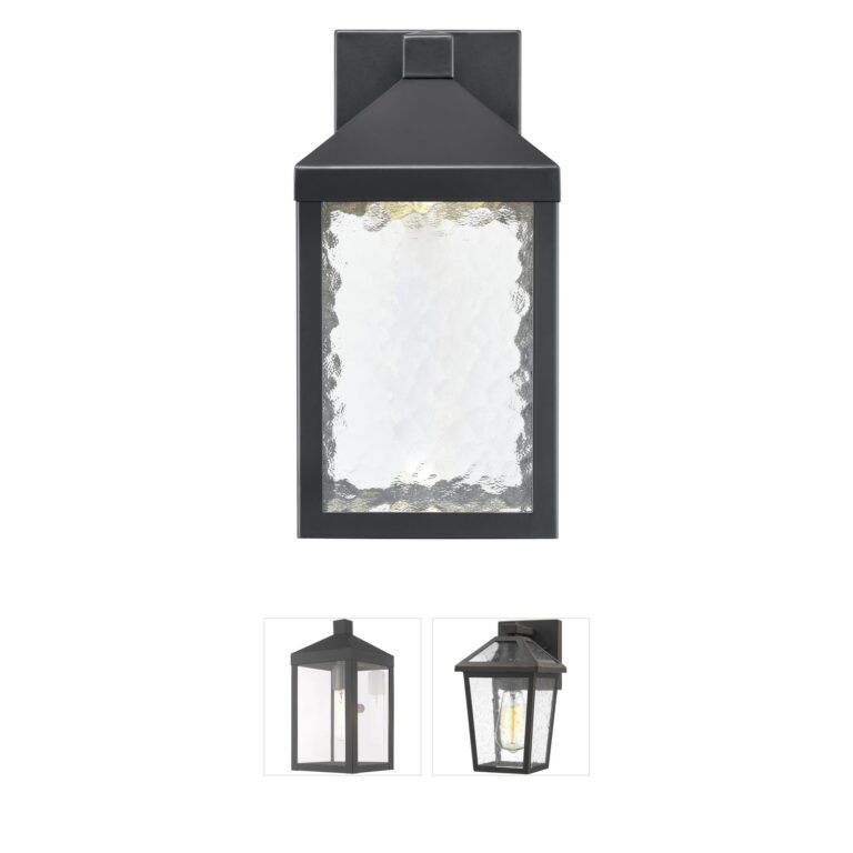 Millennium Lighting Aaron Powder Coated Black LED Outdoor Wall Sconce with Clear Textured Glass