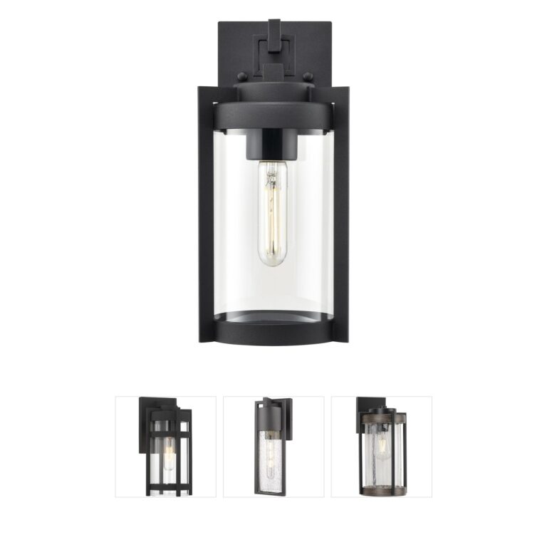 Millennium Lighting Ellway Textured Black Clear Glass Outdoor Wall Sconce