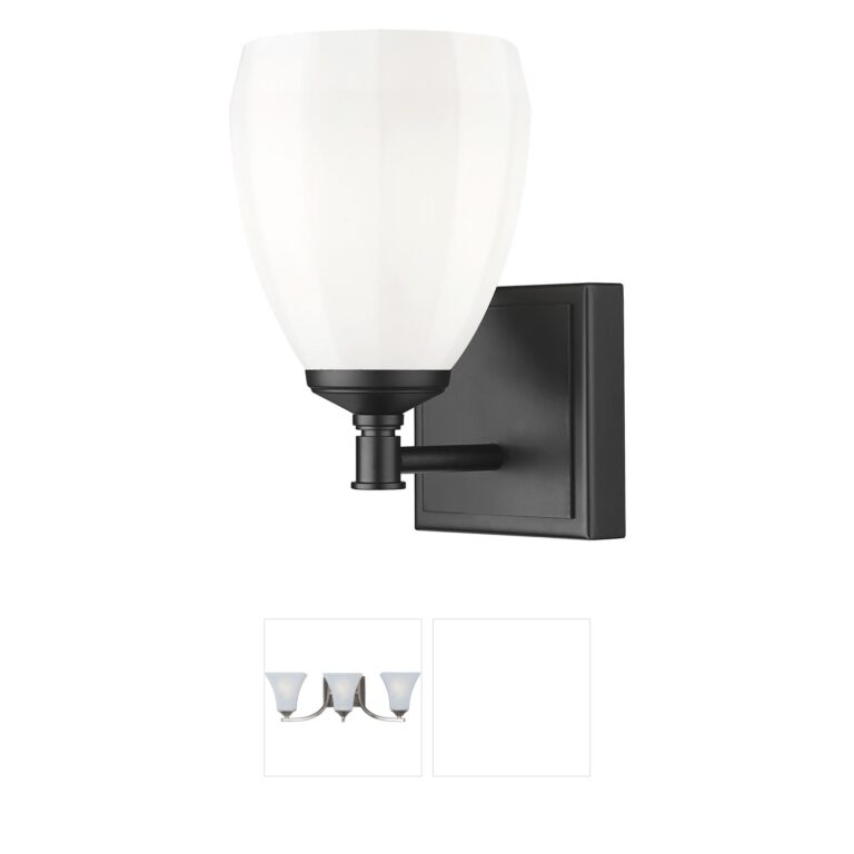 Z-Lite Oren 1-Light Matte Black Steel Vanity Light