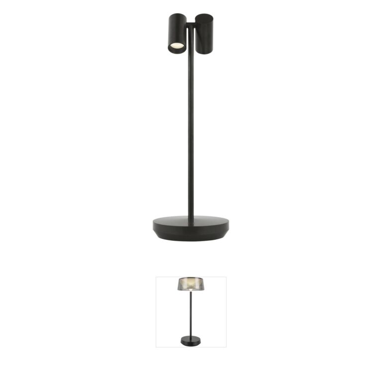 Visual Comfort Modern Sean Lavin Doppia Bronze Rechargeable LED Table Lamp