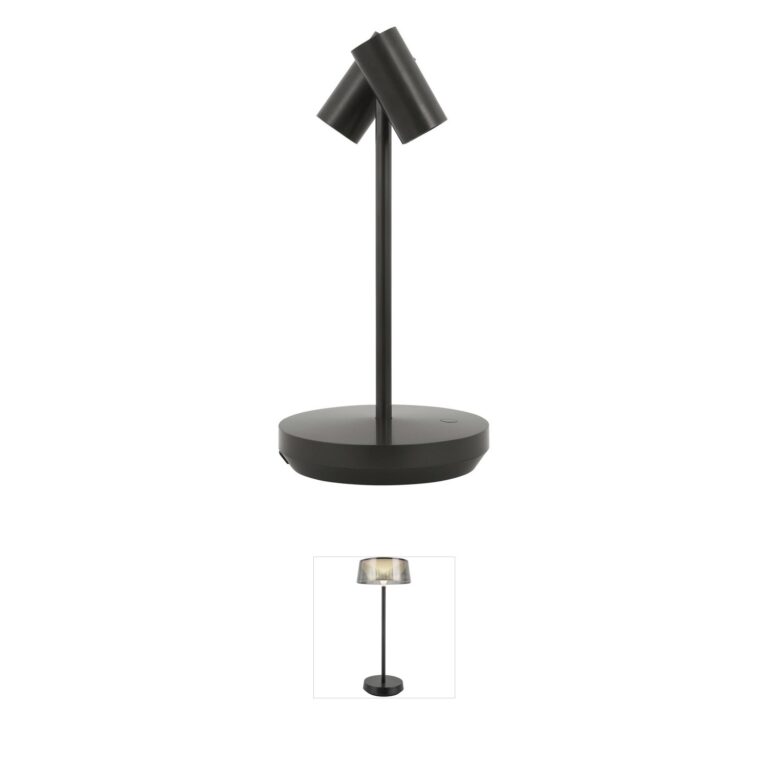 Visual Comfort Modern Sean Lavin Doppia Bronze Rechargeable LED Table Lamp