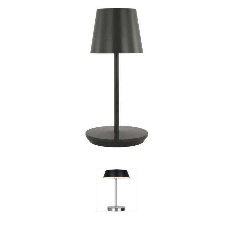 Visual Comfort Modern Sean Lavin Nevis Brass Rechargeable LED Table Lamp