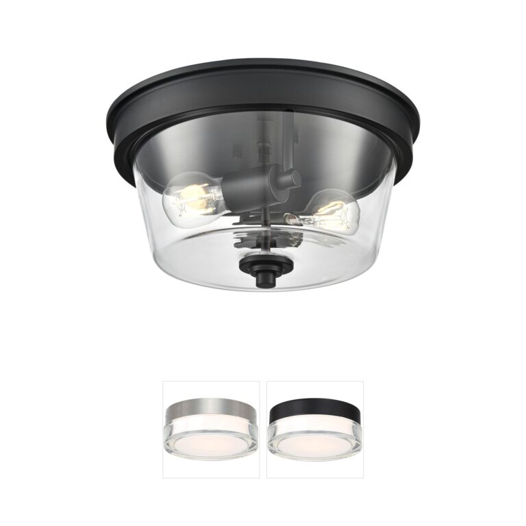 Millennium Lighting Strayhan 13-Inch Matte Black and Clear Glass Flush Mount
