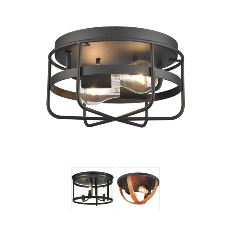 Atlas Lighting & Home Gael 10" Matte Black Cage Steel Flush Mount