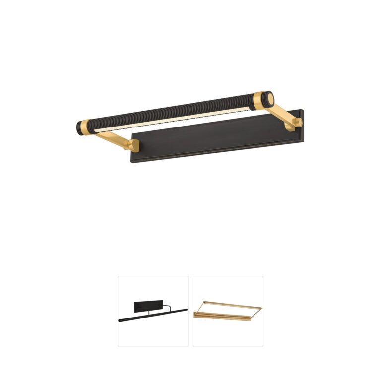 Hudson Valley Lighting Duell Steel LED Picture Light