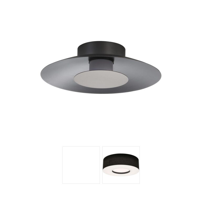 Golden Lighting Yep Luma Graphite Steel LED Flush Mount