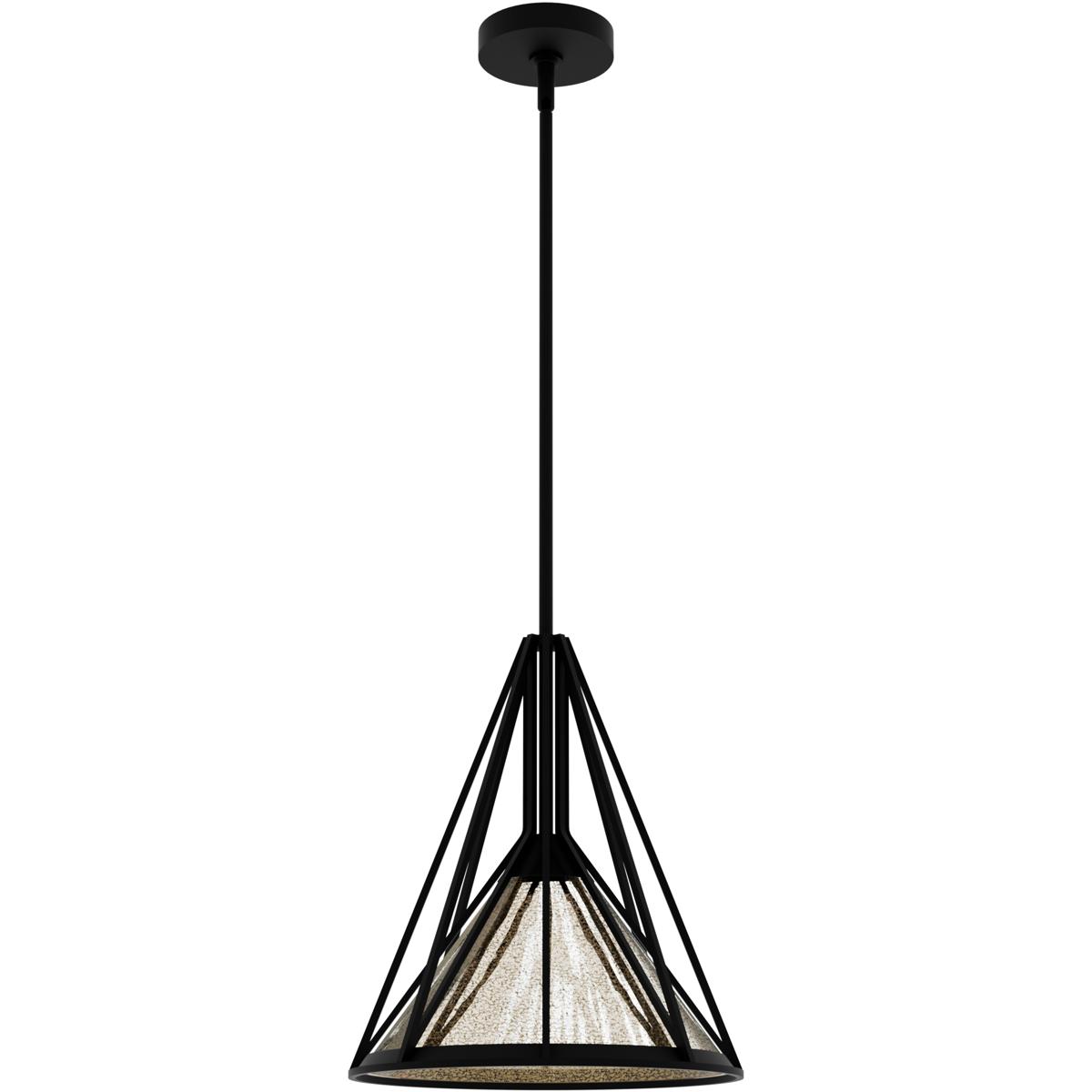 Hunter Fan Rafner Geometric Pendant Light | Natural Black Iron